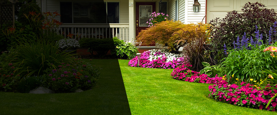 Pocola Landscapers