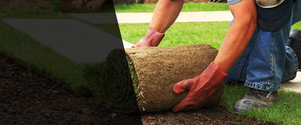 Pocola Landscapers